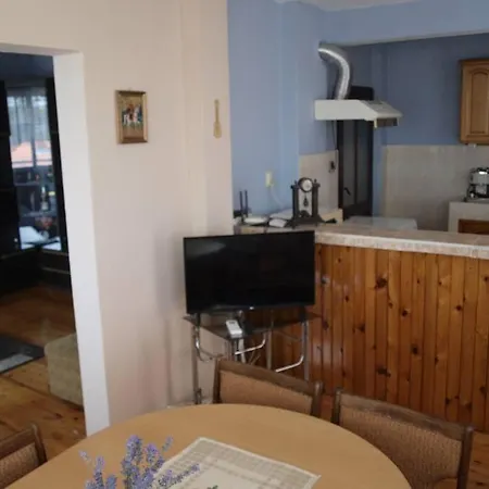 بيت للعطل шишкови *