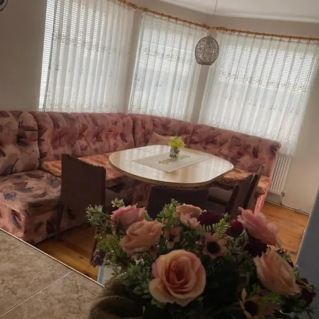 шишкови شابلا