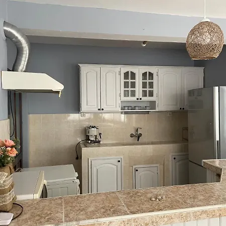 шишкови بيت للعطل