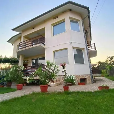 Casa de Férias шишкови