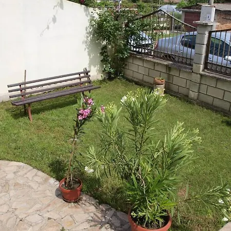 Casa de Férias шишкови *