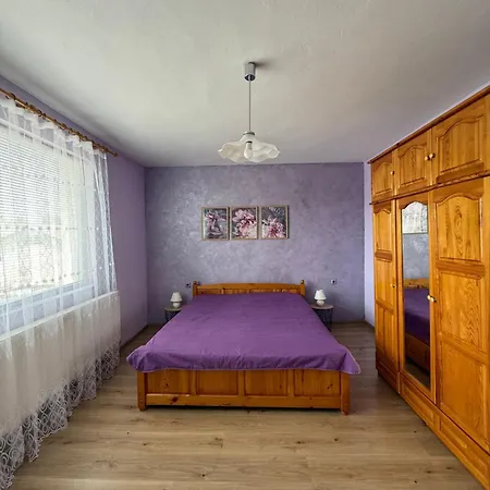 шишкови