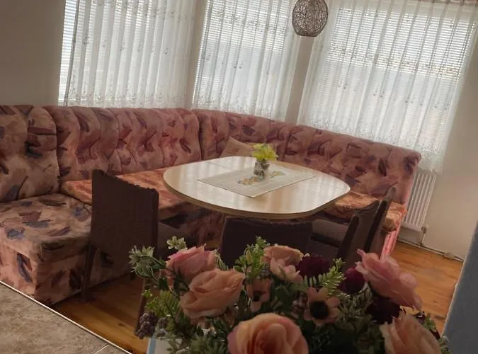 шишкови Шабла